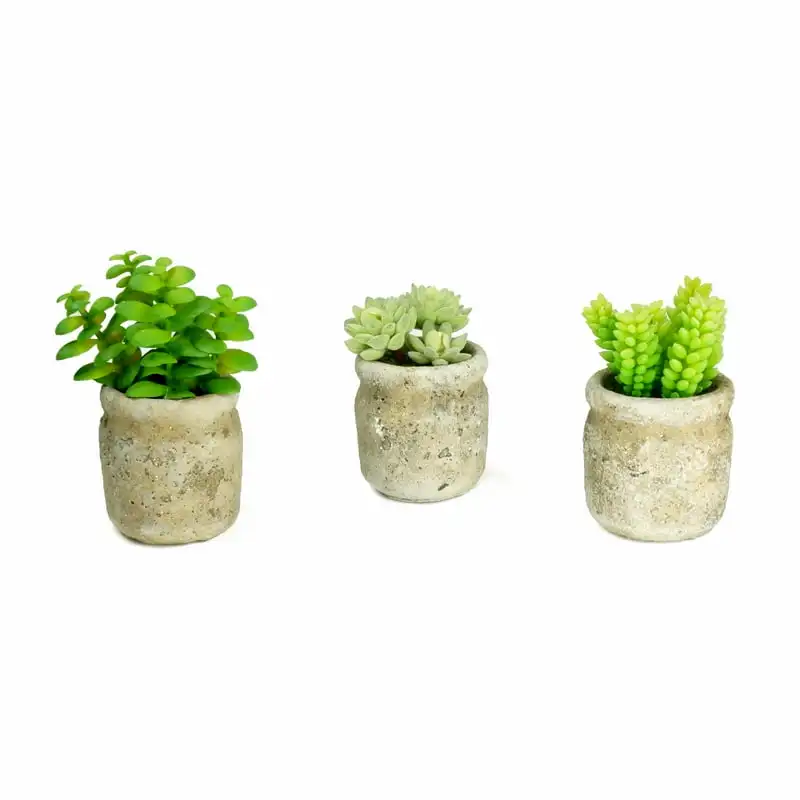of 3 Realistic Faux Green 11 inch High Artificial Succulent in Rustic Cement Pot Planter
of 3 Realistic Faux Green 11 inch High Artificial Succulent in Rustic Cement Pot Planter