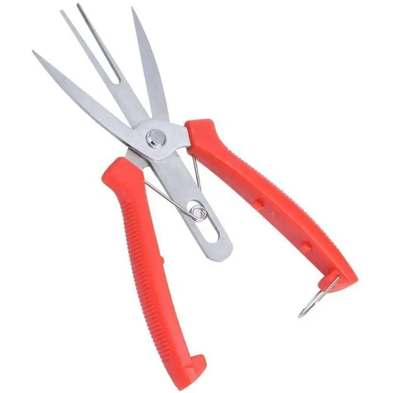 Double-edged Fruit Picking Scissors Garden Pruner Shears Citrus Tree Flower Cultivating Solid Multi-use Pruning Fruit Tree
Double-edged Fruit Picking Scissors Garden Pruner Shears Citrus Tree Flower Cultivating Solid Multi-use Pruning Fruit Tree