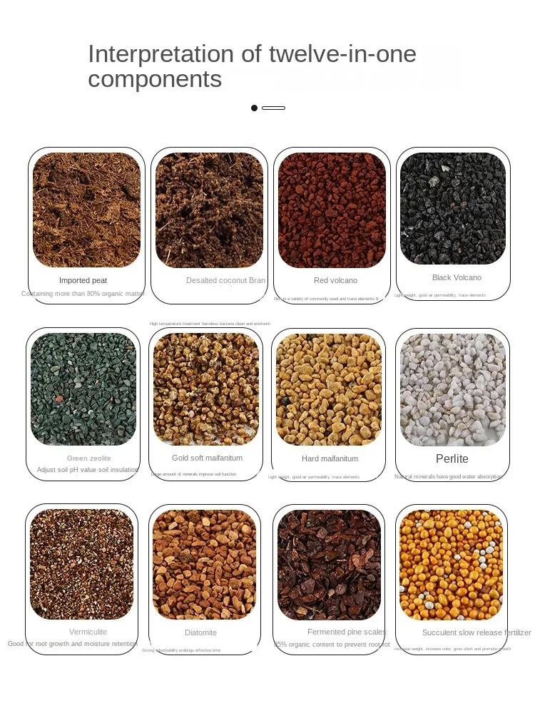 Meaty Special Granular Old Pile Plant Leaves Are Inserted Into The Pot Soil, and Imported Peat Is Used To Plant Flowers
Meaty Special Granular Old Pile Plant Leaves Are Inserted Into The Pot Soil, and Imported Peat Is Used To Plant Flowers