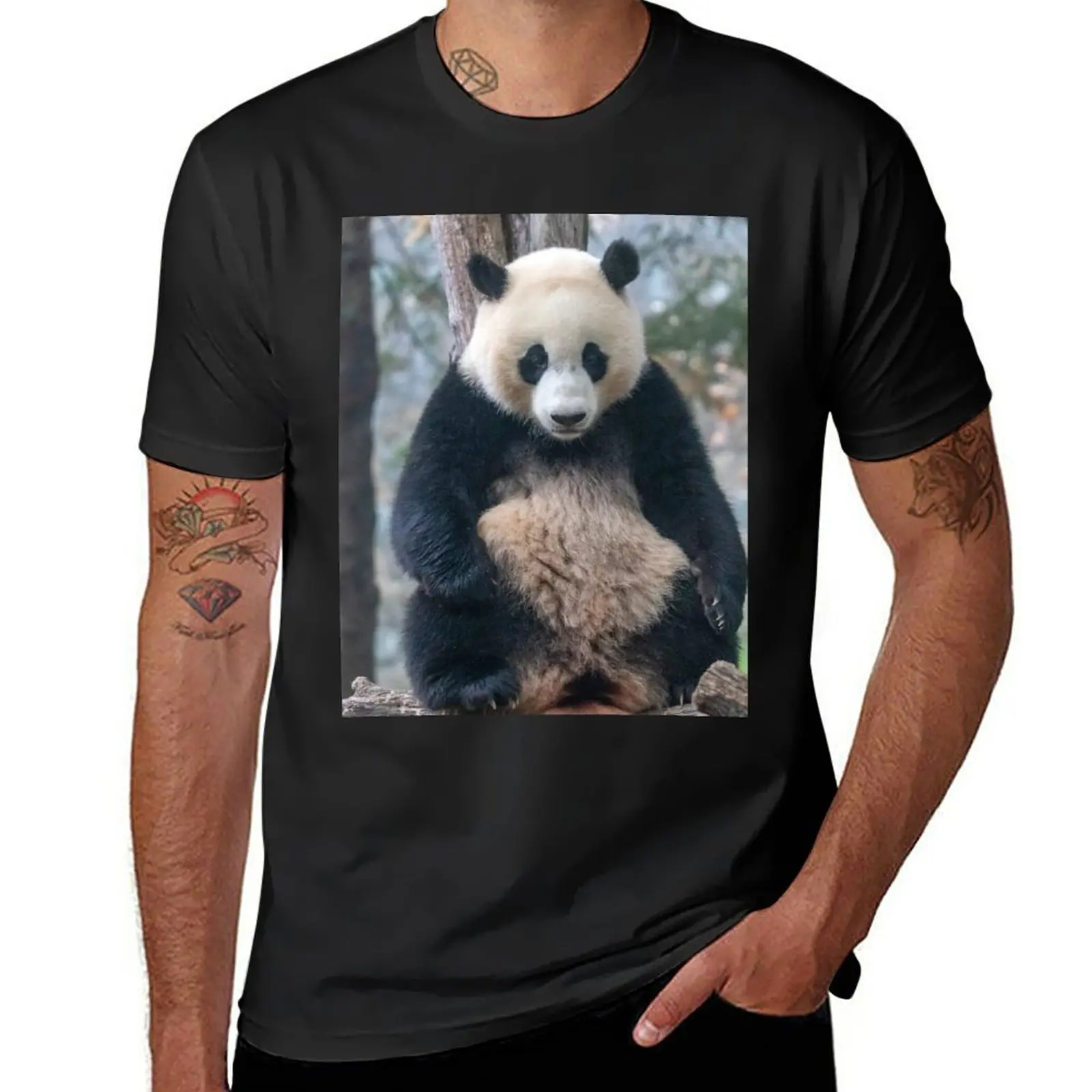 Giant Panda Xiao Qi Ji at the National Zoo T-Shirt hippie clothes sports fans vintage clothes mens graphic t-shirts
Giant Panda Xiao Qi Ji at the National Zoo T-Shirt hippie clothes sports fans vintage clothes mens graphic t-shirts