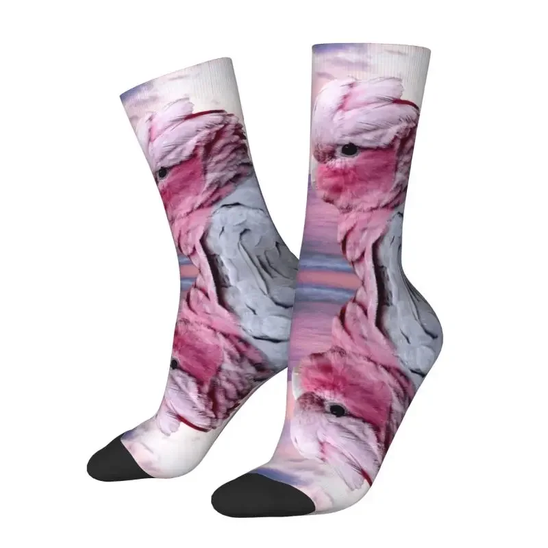 Parrot Galah Cockatoo Fur S Socks for Men and Women, Fashion Warm Socks, Novelly Bird Crew
Parrot Galah Cockatoo Fur S Socks for Men and Women, Fashion Warm Socks, Novelly Bird Crew
