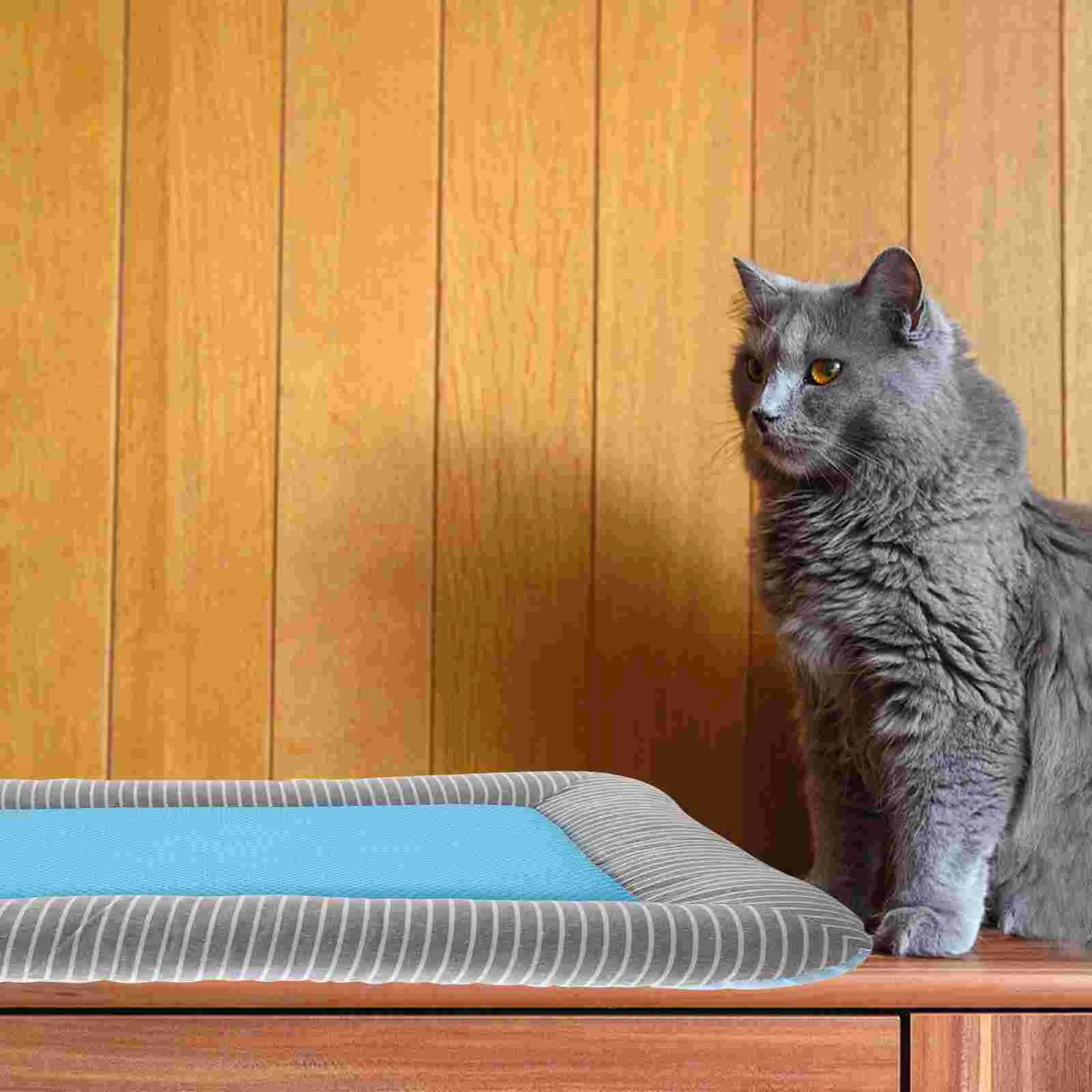 Summer Dog Blanket Outdoor Waterproof Bed Pet Self Cooling Mat Sleeping Cushion Ice Pad
Summer Dog Blanket Outdoor Waterproof Bed Pet Self Cooling Mat Sleeping Cushion Ice Pad