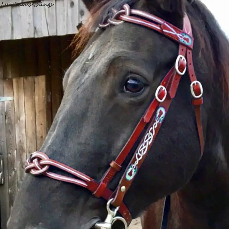 1X Horse Halters And Lead Ropes PU Leather Halter And Lead Ropes Unfettered Halters
1X Horse Halters And Lead Ropes PU Leather Halter And Lead Ropes Unfettered Halters