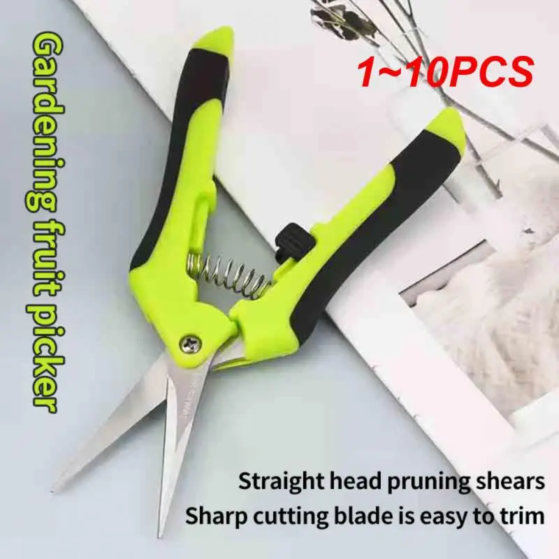 1~10PCS Inch Gardening Hand Pruner Pruning Shear Trimming Scissors Stainless Steel Straight/ Curved Blades for Buds Herbs
1~10PCS Inch Gardening Hand Pruner Pruning Shear Trimming Scissors Stainless Steel Straight/ Curved Blades for Buds Herbs