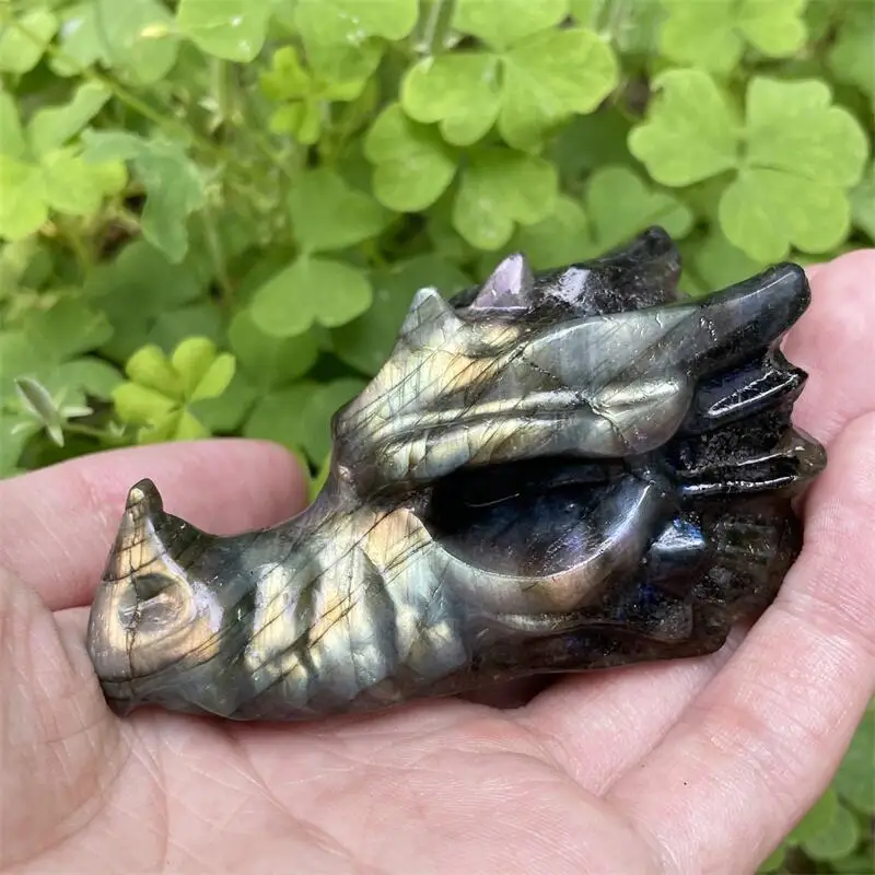 Natural Crystal Stone Dragon Carving Healing Labradorite Dragon Animal Figurine Home Decor Reiki Gift
Natural Crystal Stone Dragon Carving Healing Labradorite Dragon Animal Figurine Home Decor Reiki Gift