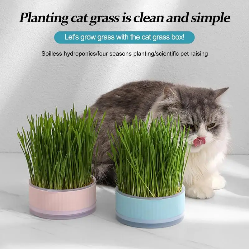 

New Pet Cat Sprout Dish Growing Pot Hydroponic Plant Cat Grass Germination Digestion Starters Dish Greenhouse Grow Box