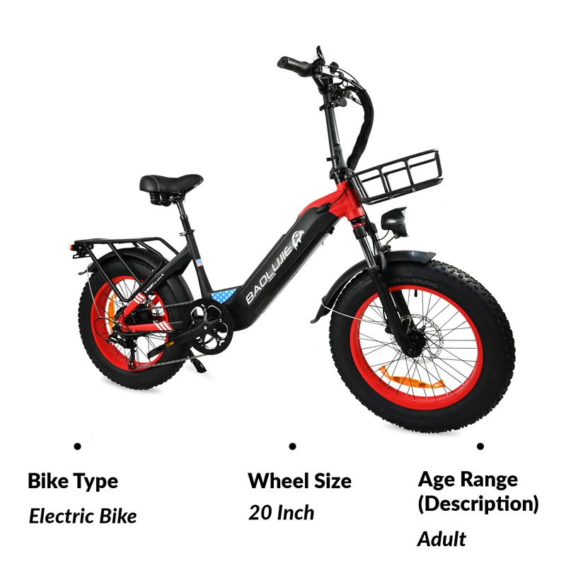 Baolujie Adults Electric Bike Bicycle 20 Inch Fat Tire Electric E Bikes Step Through Oil Brake 48V 500W 12AH Ebike
Baolujie Adults Electric Bike Bicycle 20 Inch Fat Tire Electric E Bikes Step Through Oil Brake 48V 500W 12AH Ebike