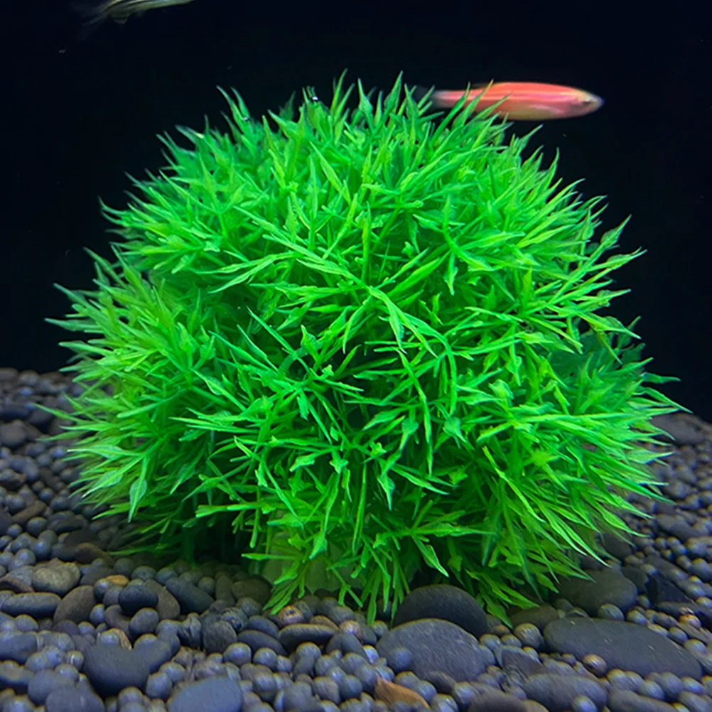 4Pcs Simulated Water Plants Ornaments Decorative Aquatic Plants Decorations Fish Tank Decors
4Pcs Simulated Water Plants Ornaments Decorative Aquatic Plants Decorations Fish Tank Decors