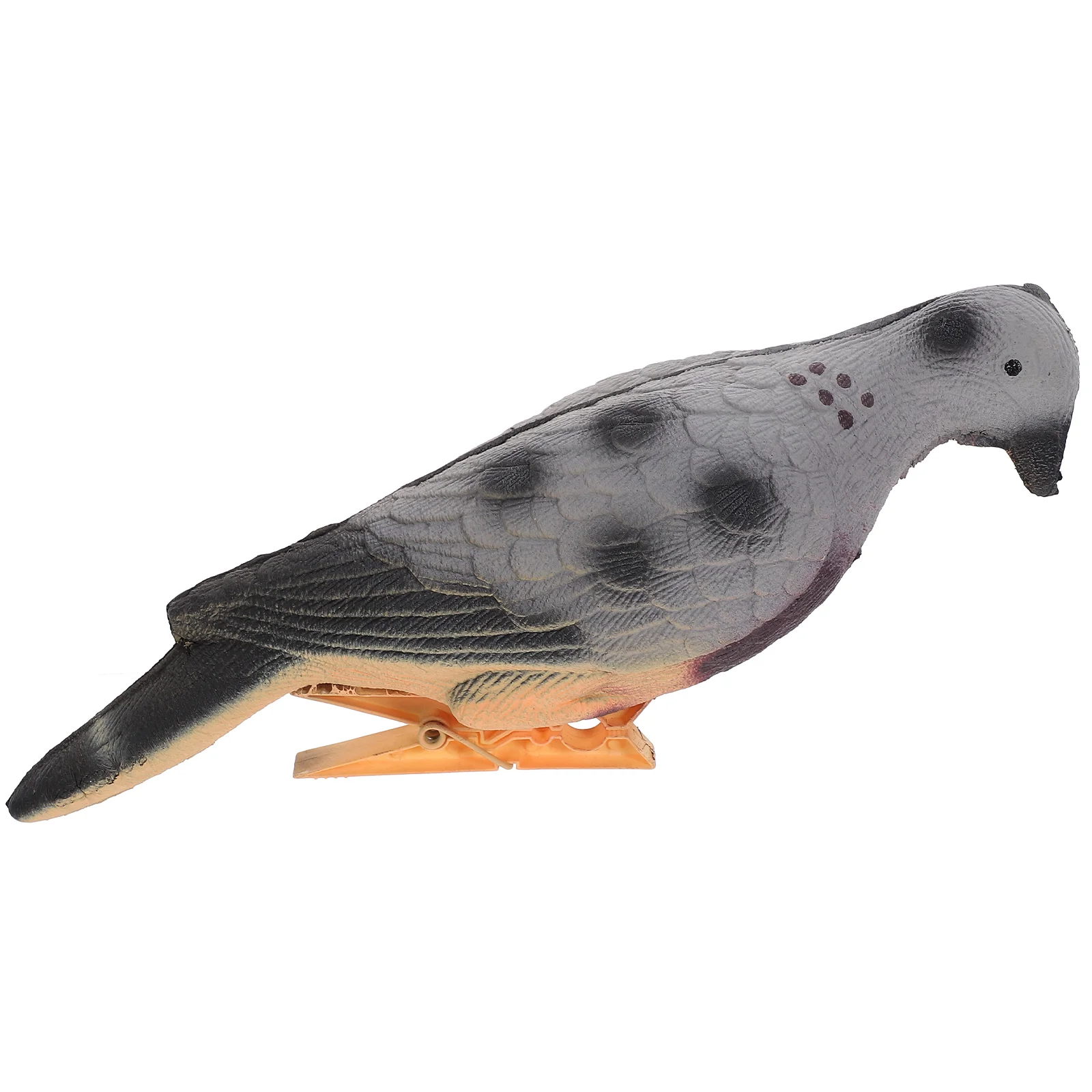 Sport Stickers Simulated Pigeon Fake Animal Realistic Dove Hunting Equipment Archery Accessory Adornment
Sport Stickers Simulated Pigeon Fake Animal Realistic Dove Hunting Equipment Archery Accessory Adornment