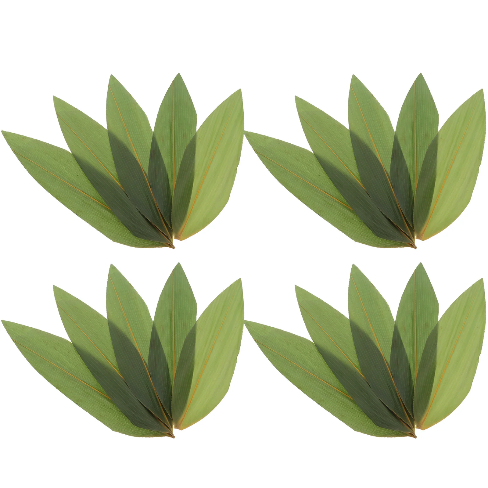 Japanese Green Leaf Sushi Sashimi Leaves Sushi Grass Sushi Dish Cuisine Plate Tray Decoration Tools
Japanese Green Leaf Sushi Sashimi Leaves Sushi Grass Sushi Dish Cuisine Plate Tray Decoration Tools