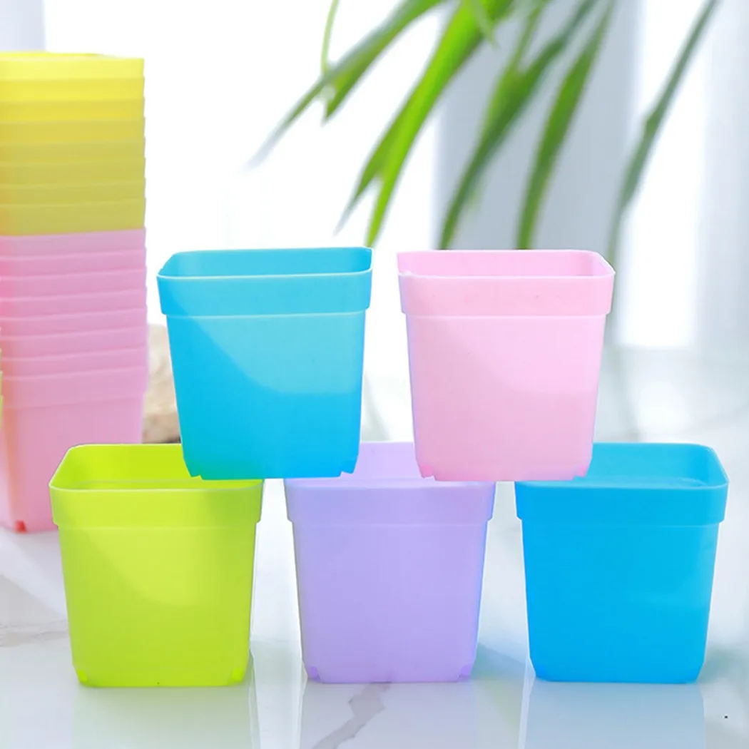 10pcs Nursery Pots Flower Pot Mini Plant Basin Succulent Planters Trays For Home Office Decor DIY Plant Growing Container
10pcs Nursery Pots Flower Pot Mini Plant Basin Succulent Planters Trays For Home Office Decor DIY Plant Growing Container