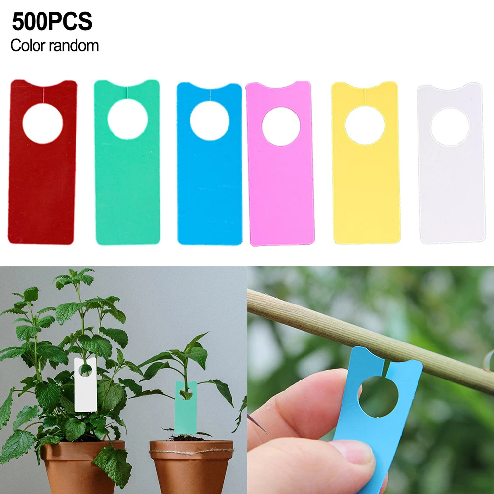 

Garden Plant Lable Tag With Hole Hanging Melon Fruit Tree Marker Sign Plastic 5cm X 2cm For Shrubs Succulents Vegetables