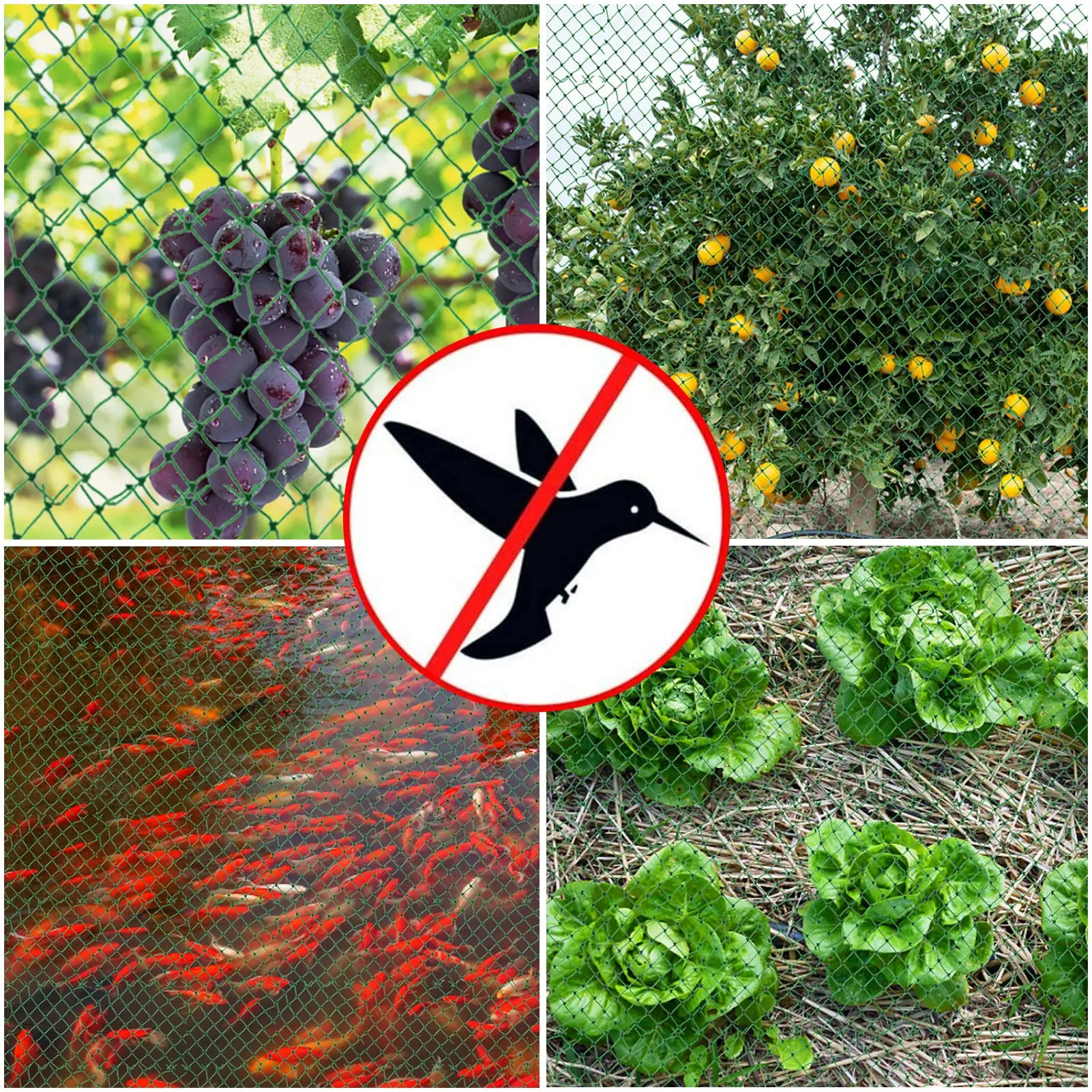 Bird Netting For Garden Pond Netting For Ponds Garden Cover For Garden Protection For Plants Fruits Vegetables Pond Net For Pond
Bird Netting For Garden Pond Netting For Ponds Garden Cover For Garden Protection For Plants Fruits Vegetables Pond Net For Pond