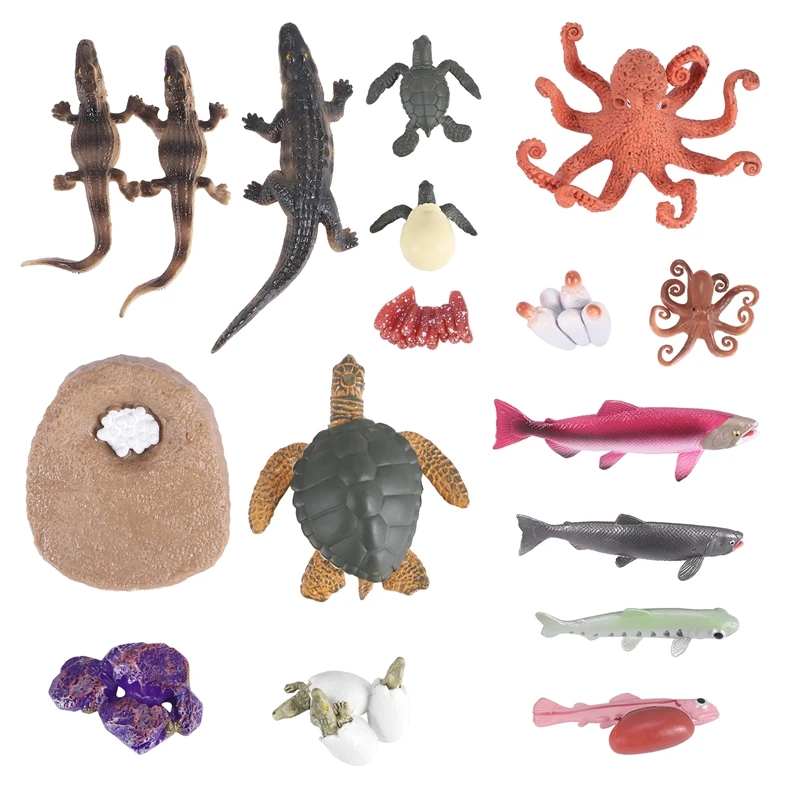 

17PCS Animal Life Cycle Figurines Of Green Sea Turtle Crocodile Octopus Salmon Fish, Simulation Animals Growth Model