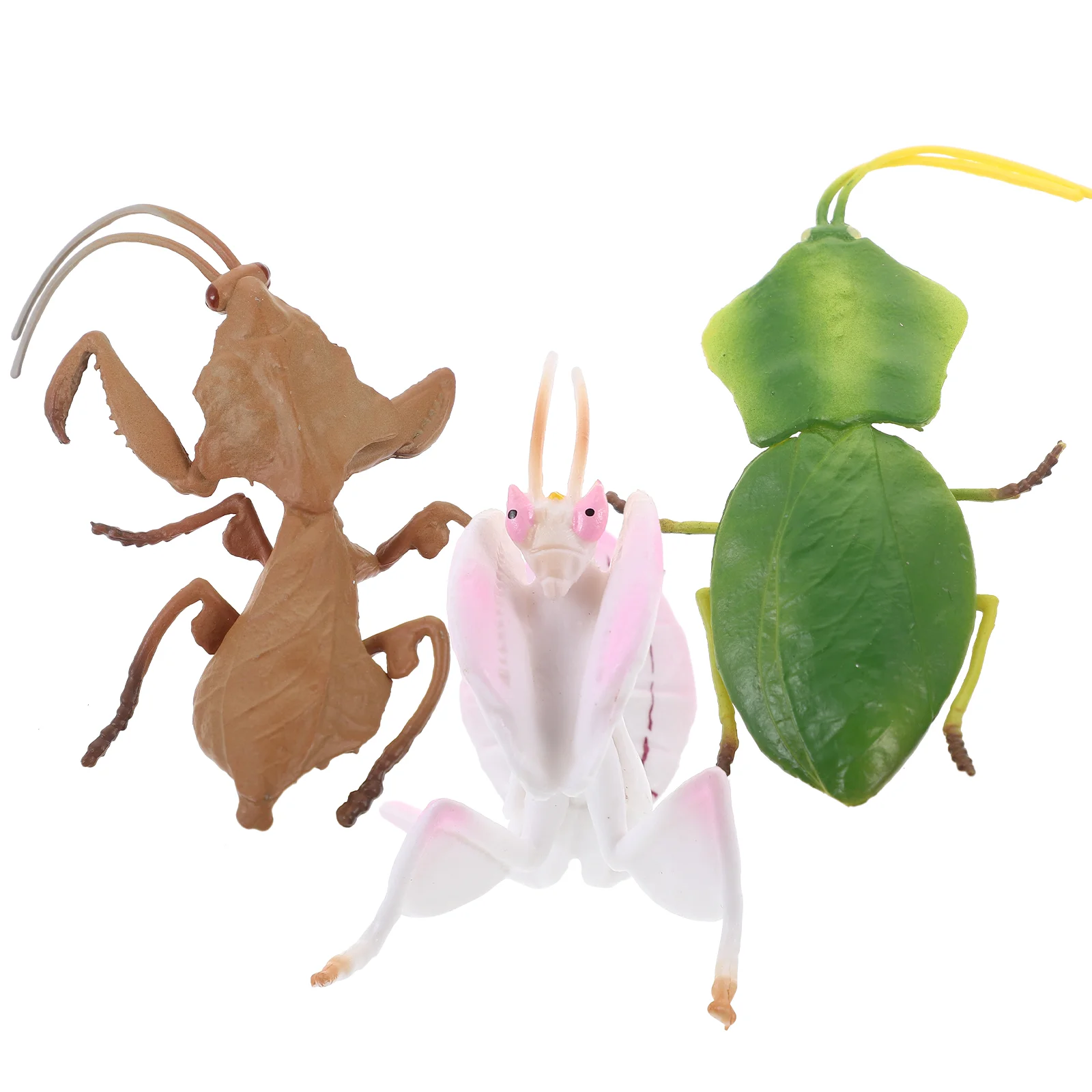 

3 Pcs Bedroom Decore Mantis Recognition Model Accessories Childrens Lifelike Simulation Insect Plastic Toy Home