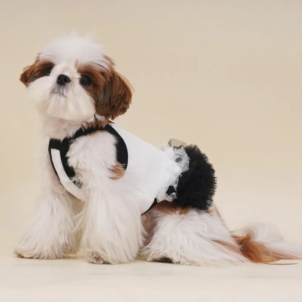 Summer Pet Princess Dress Maltese Small Dog Teddy Bichiss Schnauzer Shih Tzu Pooch Ballet Skirt
Summer Pet Princess Dress Maltese Small Dog Teddy Bichiss Schnauzer Shih Tzu Pooch Ballet Skirt