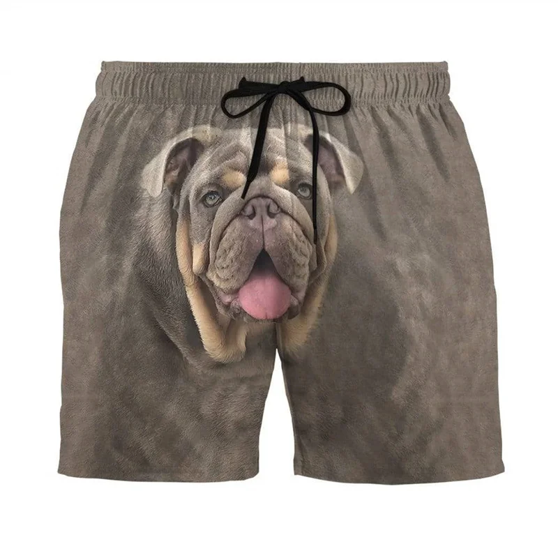 Animal Golden Retriever Pug Short Pants Men 3d Print Dogs Graphic Swimming Trunks Summer Beachwear Hawaiian Board Beach Shorts
Animal Golden Retriever Pug Short Pants Men 3d Print Dogs Graphic Swimming Trunks Summer Beachwear Hawaiian Board Beach Shorts