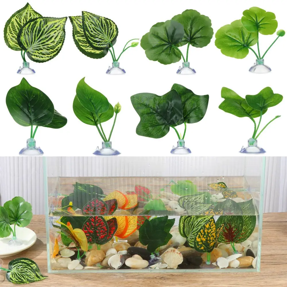 Decoration Resting Oviposition Leaves Hammock Landscaping Simulation Aquatic Plants Betta Leaf Fish tank Plants
Decoration Resting Oviposition Leaves Hammock Landscaping Simulation Aquatic Plants Betta Leaf Fish tank Plants