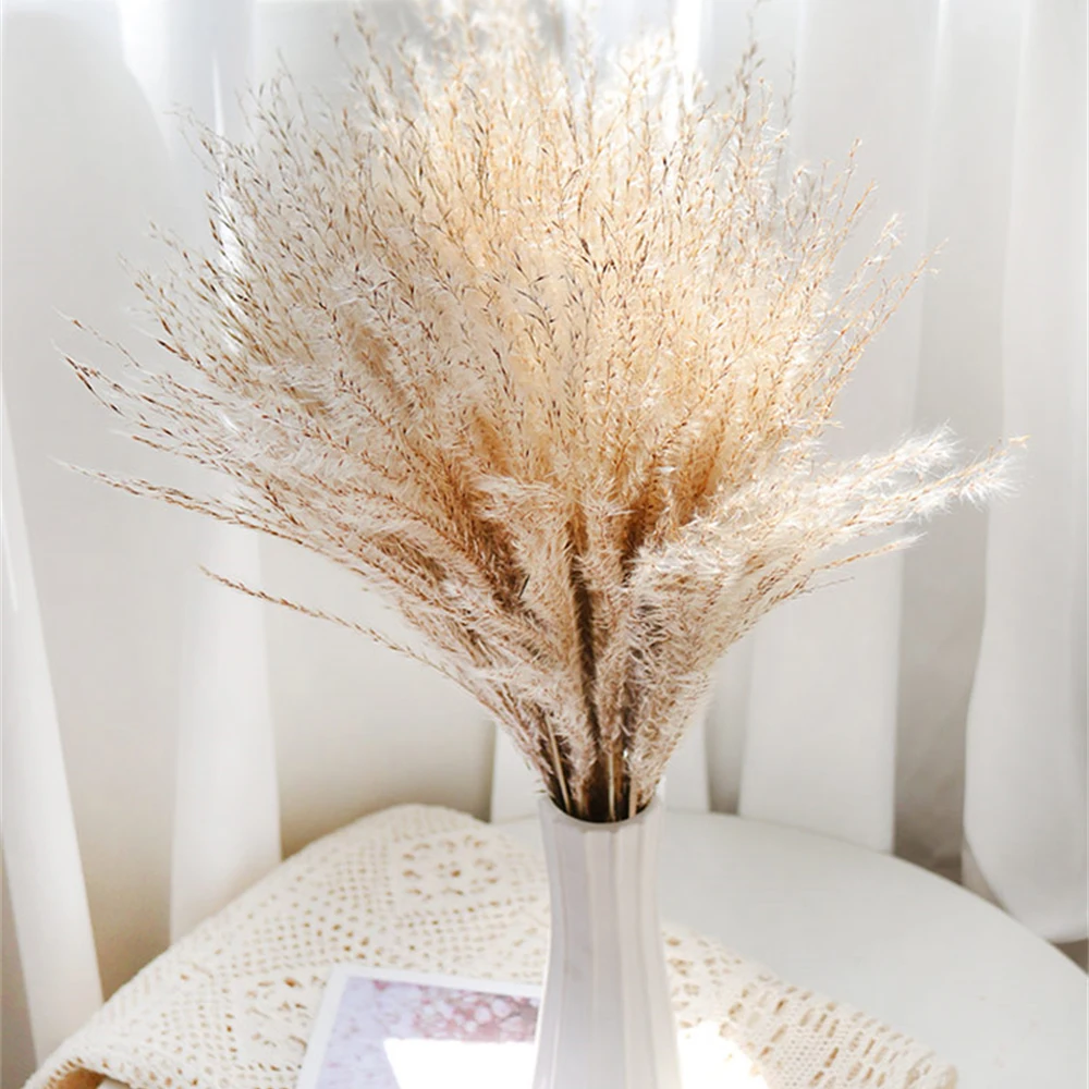 Pampas Grass Party Decorations Christmas Decoration and Table Accessories Plants Luxury Home Vase Decor Dry Flower Centerpiece
Pampas Grass Party Decorations Christmas Decoration and Table Accessories Plants Luxury Home Vase Decor Dry Flower Centerpiece