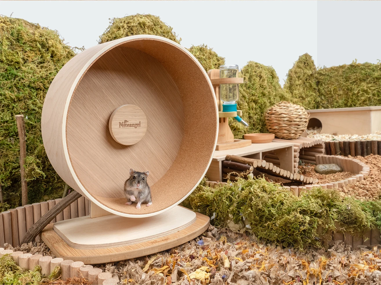 Wooden hamster running wheel ultra-quiet Golden Bear large cork cushion bracket running wheel supplies
Wooden hamster running wheel ultra-quiet Golden Bear large cork cushion bracket running wheel supplies