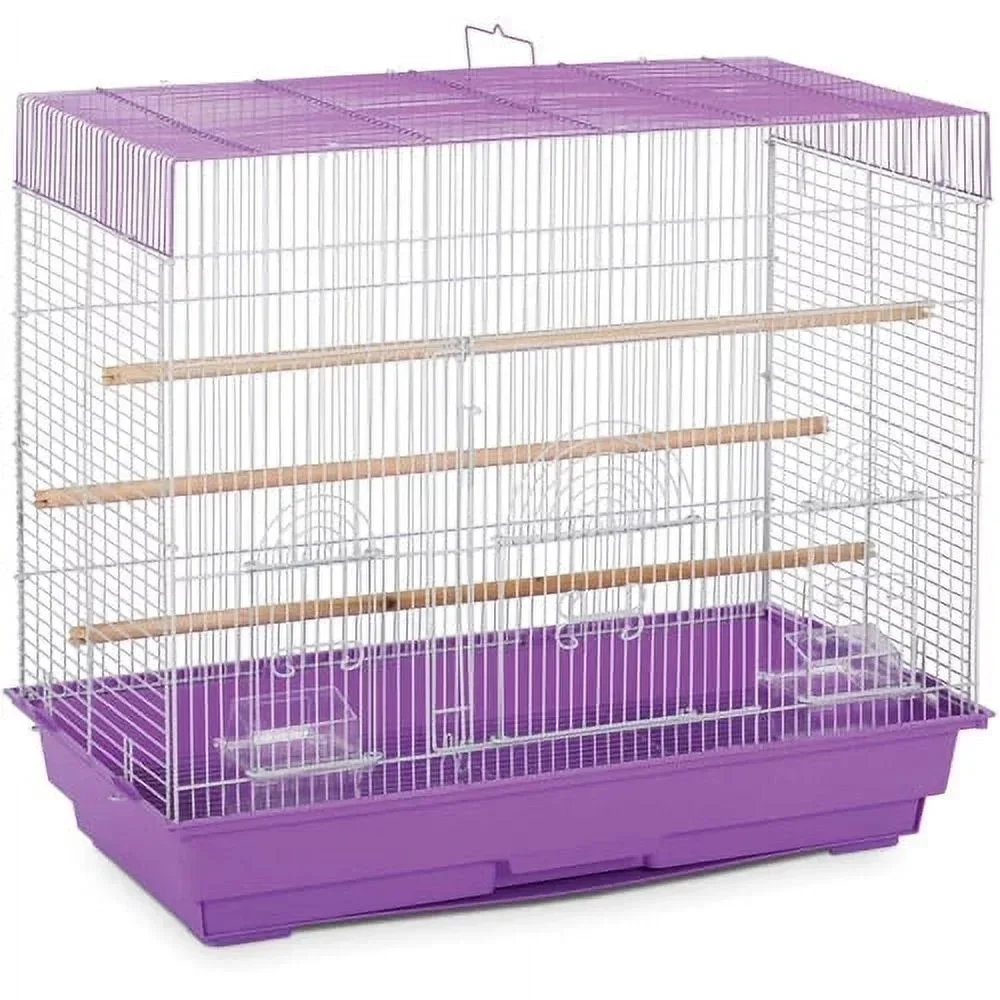 Flight Cage Purple Pigeons Nests for Birds Accessories Large Bird Cage Him Vintage Decorative Cages |-f-| Houses and Fencing Pet
Flight Cage Purple Pigeons Nests for Birds Accessories Large Bird Cage Him Vintage Decorative Cages |-f-| Houses and Fencing Pet