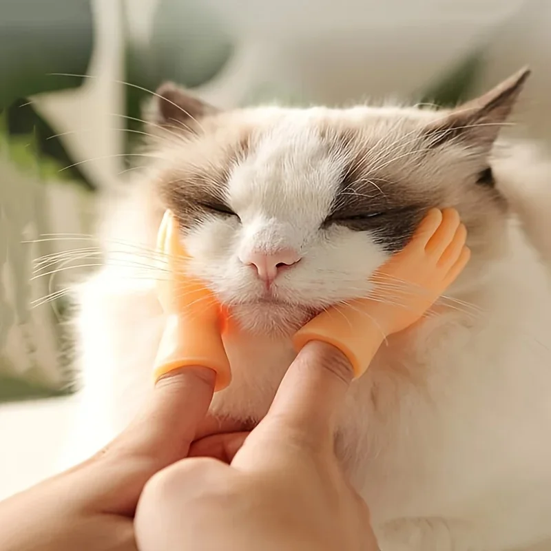 2pcs Creative Finger Cots Practical Jokes Kids Toys Palm Shaped Funny Mini Hands Teaser Cat Toy Kitten Massager Small Gloves
2pcs Creative Finger Cots Practical Jokes Kids Toys Palm Shaped Funny Mini Hands Teaser Cat Toy Kitten Massager Small Gloves