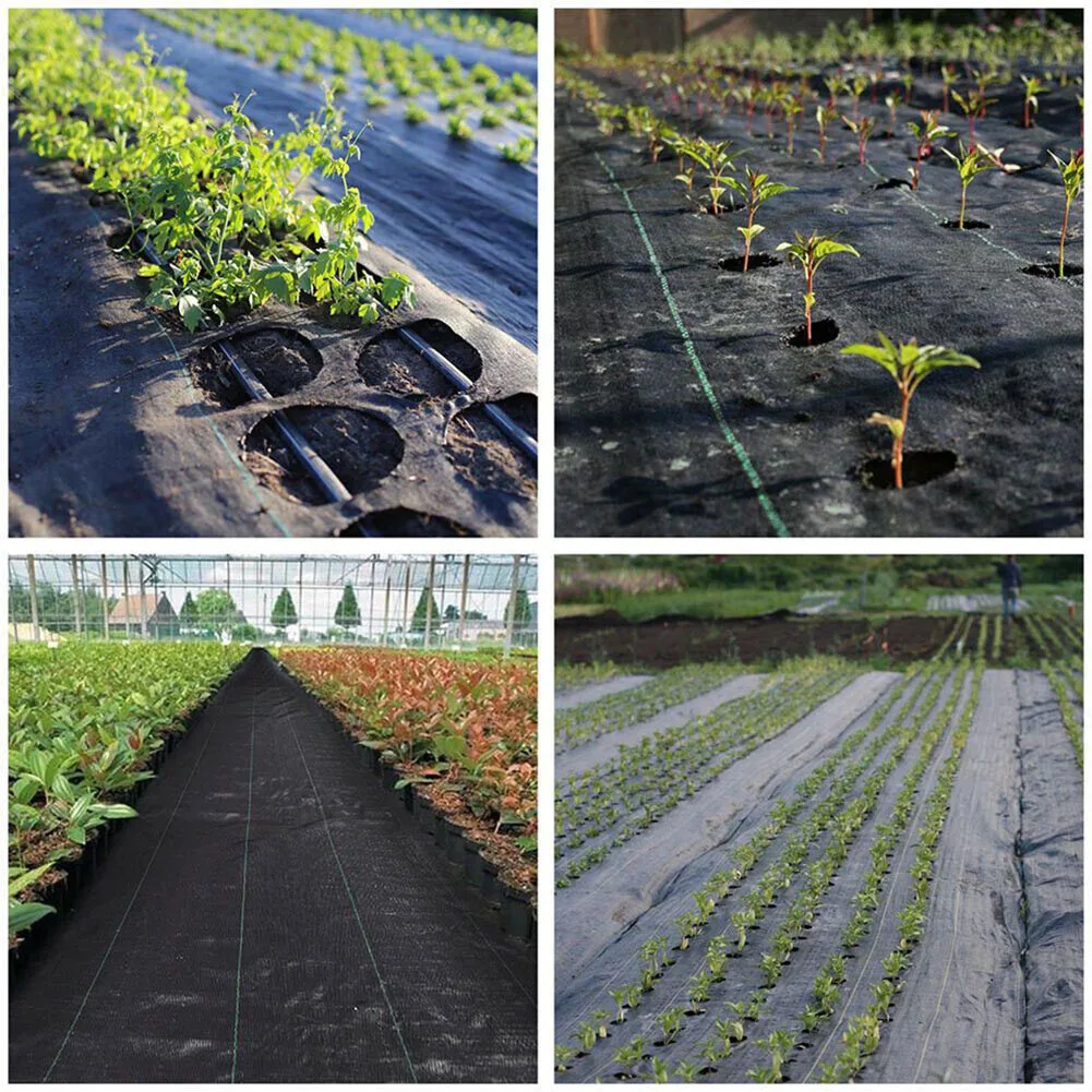 Brand New Grass Cloth 1m×10m/2m×5m/2m×10m Black For Orchard Landscape Cloth Thicken Backside Water Permeability
Brand New Grass Cloth 1m×10m/2m×5m/2m×10m Black For Orchard Landscape Cloth Thicken Backside Water Permeability