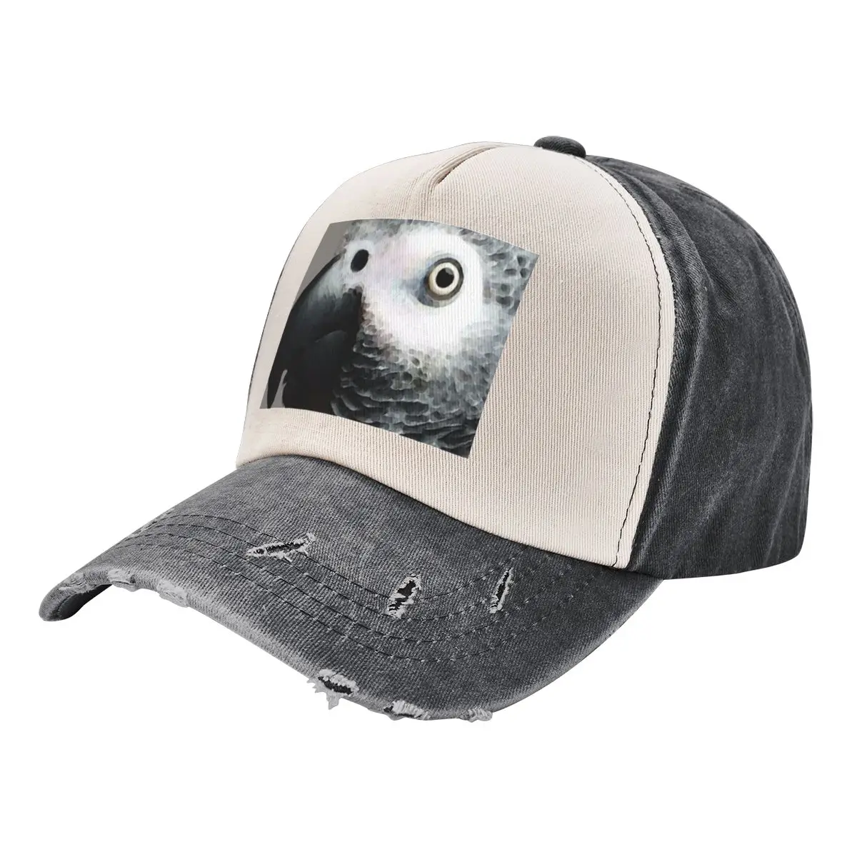 African Gray Parrot Art - Softy Baseball Cap Gentleman Hat Cosplay cute Men Hats Women's
African Gray Parrot Art - Softy Baseball Cap Gentleman Hat Cosplay cute Men Hats Women's