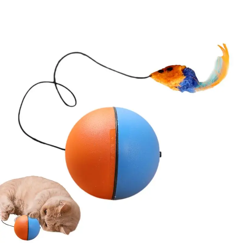 Interactive Cat Toy Battery Cat Toys Automatic Pet Sports Mouse Rolling Battery Cat Toy For Bedroom Living Room Home
Interactive Cat Toy Battery Cat Toys Automatic Pet Sports Mouse Rolling Battery Cat Toy For Bedroom Living Room Home