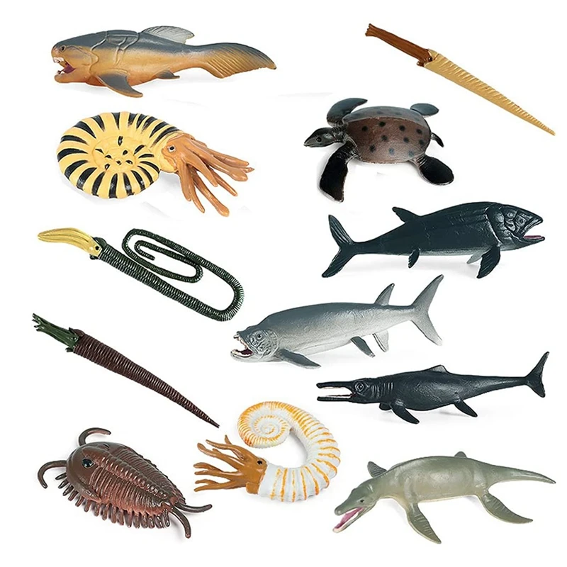 Mini Ancient Marine Animal Figures,Sea Creatures Figurines,Educational School Project Learning Toys For Kids Toddlers
Mini Ancient Marine Animal Figures,Sea Creatures Figurines,Educational School Project Learning Toys For Kids Toddlers
