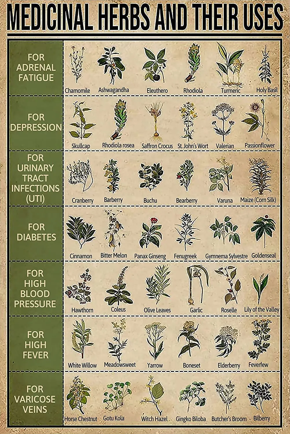 Herbal Knowledge Metal Tin Signs Medicinal Herbs And Their Uses Iron Painting Home Cafe Bathroom Garage Kitchen
Herbal Knowledge Metal Tin Signs Medicinal Herbs And Their Uses Iron Painting Home Cafe Bathroom Garage Kitchen