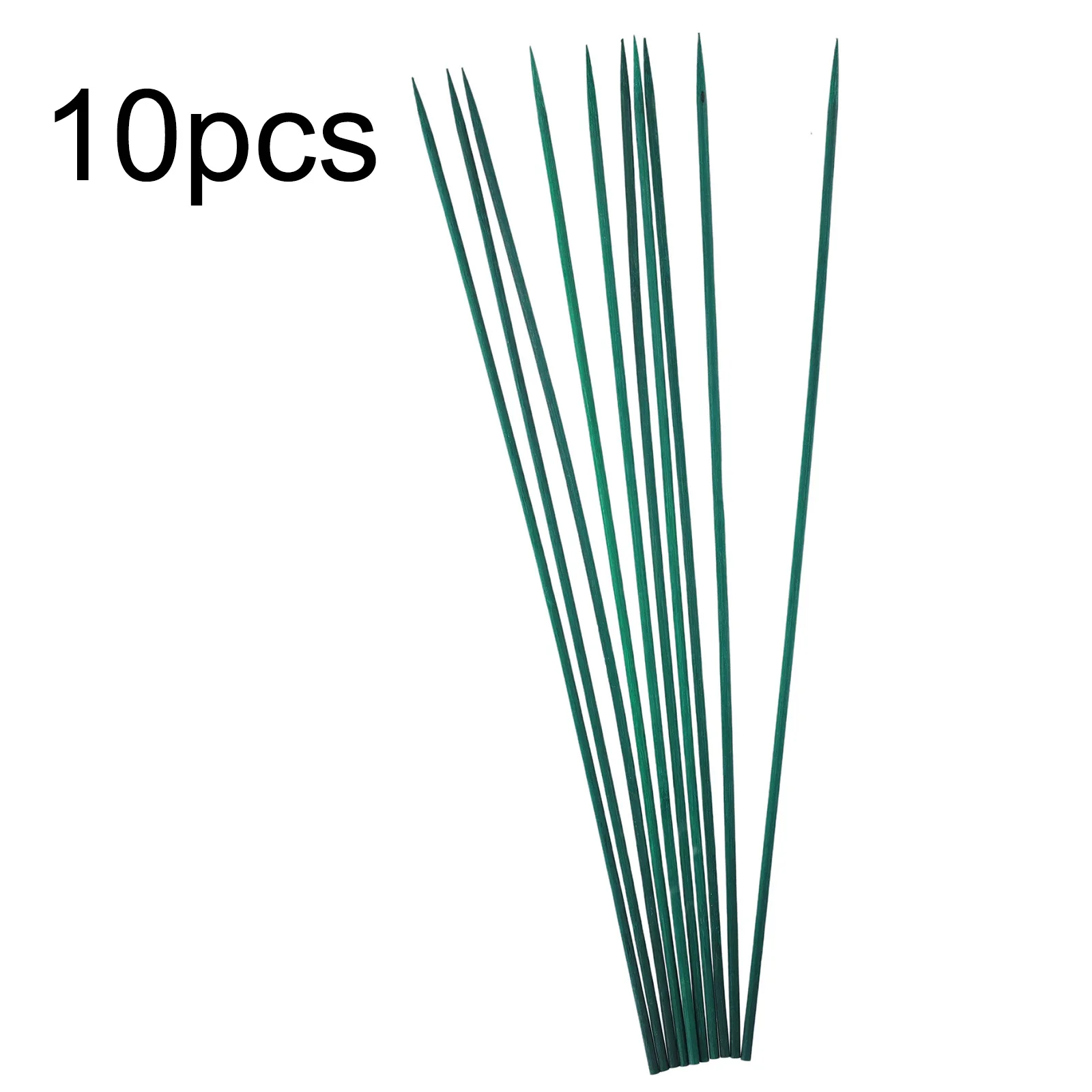 Accessories Plant Stake Canes Support Tool 40cm For Flowers Garden Plant Professional Replacement Sticks Practical
Accessories Plant Stake Canes Support Tool 40cm For Flowers Garden Plant Professional Replacement Sticks Practical