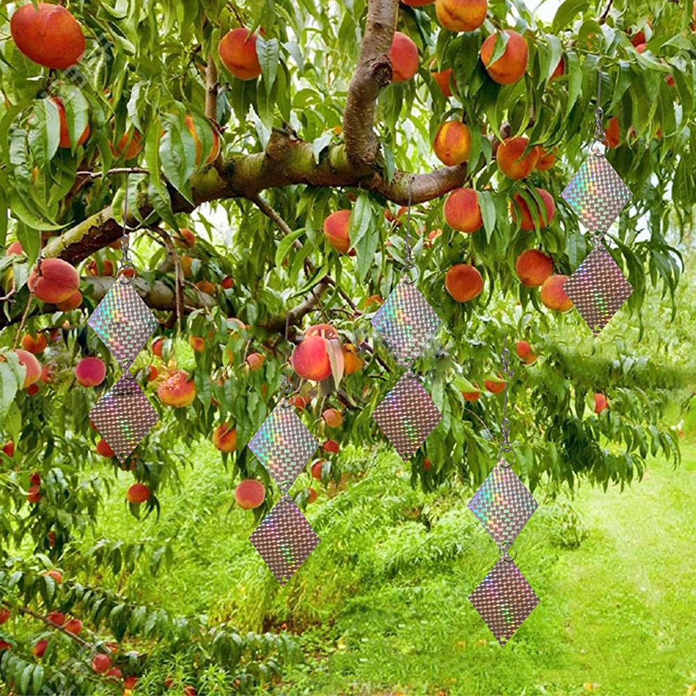 Reflective Discs for Bird Repellent Effective Deterrent Weather resistant Material Installation Plenty in Pack
Reflective Discs for Bird Repellent Effective Deterrent Weather resistant Material Installation Plenty in Pack