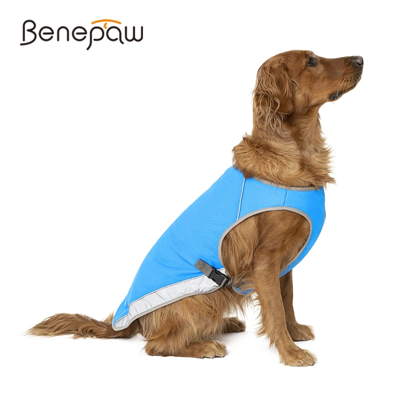 

Benepaw прочный охлаждающий жилет для собак летняя Регулируемая дышащая сетка испарительная крутая Одежда для питомцев Светоотражающие Полоски куртка для щенка