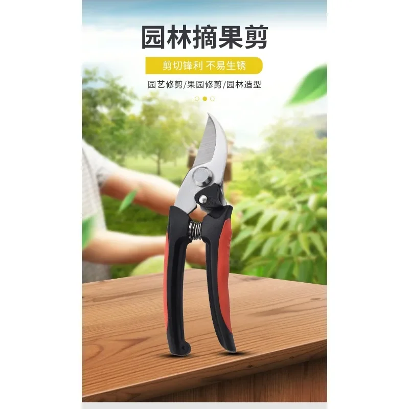 Horticultural Fruit Picking Scissors Yangjiang Stainless Steel Cutting Bonsai Multi-functional Grape Pepper Cutting Garden Tools
Horticultural Fruit Picking Scissors Yangjiang Stainless Steel Cutting Bonsai Multi-functional Grape Pepper Cutting Garden Tools