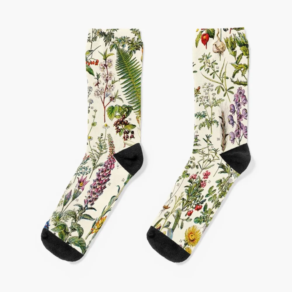 

Adolphe Millot - Plantes Medicinales 02 - Vintage french botanical illustration Socks fashionable Socks Man Women's