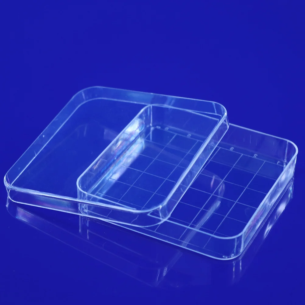 10pcs Petri Dish, Professional Case Storage Container Culture Dishes with Lids for Scientists School Science Projects
10pcs Petri Dish, Professional Case Storage Container Culture Dishes with Lids for Scientists School Science Projects