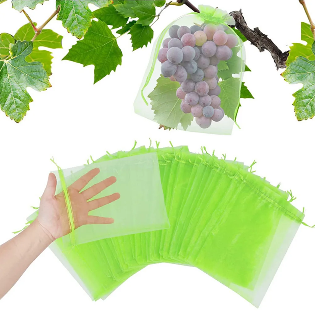 100pcs 7*9cm Fruit Protection Bags Pest Control Anti-Bird Garden Netting Bags Strawberry Grapes Mesh Bag Plante Grow Bags
100pcs 7*9cm Fruit Protection Bags Pest Control Anti-Bird Garden Netting Bags Strawberry Grapes Mesh Bag Plante Grow Bags