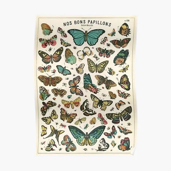 Vintage Butterfly Poster Poster Decor Decoration Art Funny Wall Home Modern Painting Room Picture Print Mural Vintage No Frame
Vintage Butterfly Poster Poster Decor Decoration Art Funny Wall Home Modern Painting Room Picture Print Mural Vintage No Frame