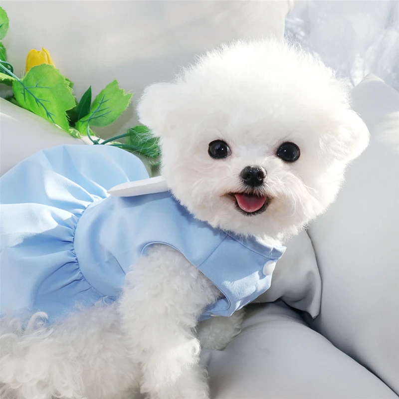 Fashion Blue Dog Clothes Pet Tow Buckle Princess Dress Poodle Summer Skirt Puppy Cute Wings Dress Pet Supplies
Fashion Blue Dog Clothes Pet Tow Buckle Princess Dress Poodle Summer Skirt Puppy Cute Wings Dress Pet Supplies