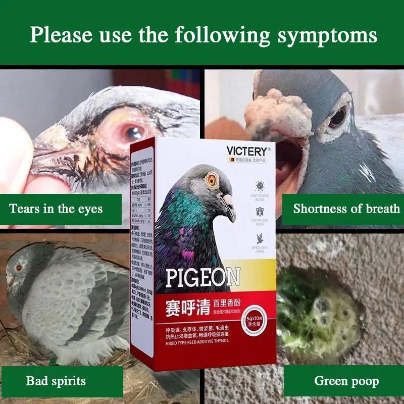 Clean Up The Respiratory Tract, Increase Flying Ability, Improve Breathing Quality, Dove Medication, Snoring and Snoring
Clean Up The Respiratory Tract, Increase Flying Ability, Improve Breathing Quality, Dove Medication, Snoring and Snoring