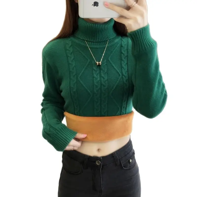 Thick Warm Turtleneck Sweaters Pullovers Women Autumn Winter Long Sleeve Knitted Sweater Bottoming Shir Female Knitwear
Thick Warm Turtleneck Sweaters Pullovers Women Autumn Winter Long Sleeve Knitted Sweater Bottoming Shir Female Knitwear