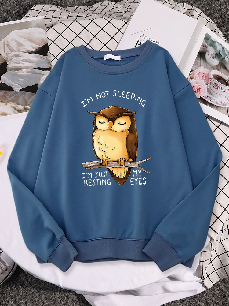 I'M Just Resting My Eyes Owl Prints Hoodie Female Cartoons Hip Hop Sweater Autumn Crewneck Streetwear Loose Women'S Streetwear
I'M Just Resting My Eyes Owl Prints Hoodie Female Cartoons Hip Hop Sweater Autumn Crewneck Streetwear Loose Women'S Streetwear