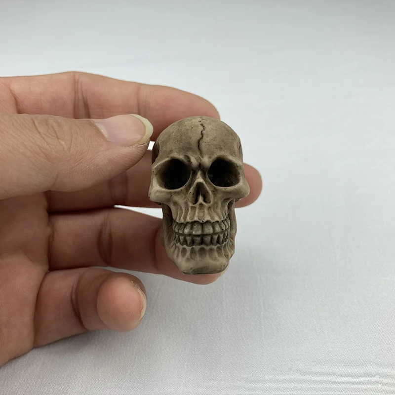 Маленькие черепа в масштабе 1:6, реквизит для украшения, модель человеческого черепа, ландшафтный череп, декоративные фигурки, аксессуары для украшения дома
Маленькие черепа в масштабе 1:6, реквизит для украшения, модель человеческого черепа, ландшафтный череп, декоративные фигурки, аксессуары для украшения дома