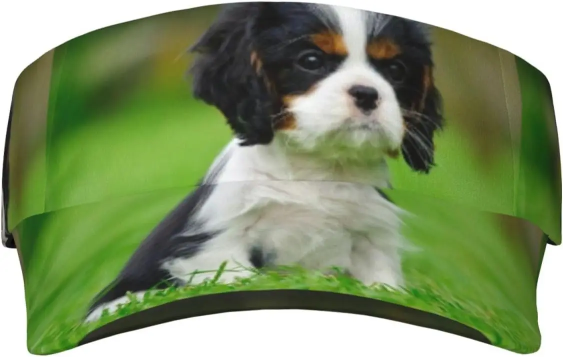 Sport Sun Visor Hat Cavalier King Charles Spaniel Dog Breathable Sun Hat Cap for Outdoor Travel
Sport Sun Visor Hat Cavalier King Charles Spaniel Dog Breathable Sun Hat Cap for Outdoor Travel