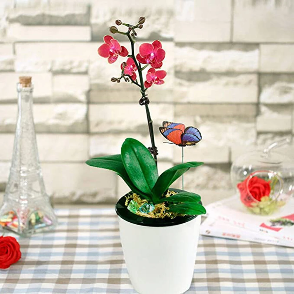 20pcs Plastic Garden Plant Clips Vine Support Clips Reusable Grafting Fixing Tool Flower Fruit Vegetable Butterfly Orchid Clips
20pcs Plastic Garden Plant Clips Vine Support Clips Reusable Grafting Fixing Tool Flower Fruit Vegetable Butterfly Orchid Clips
