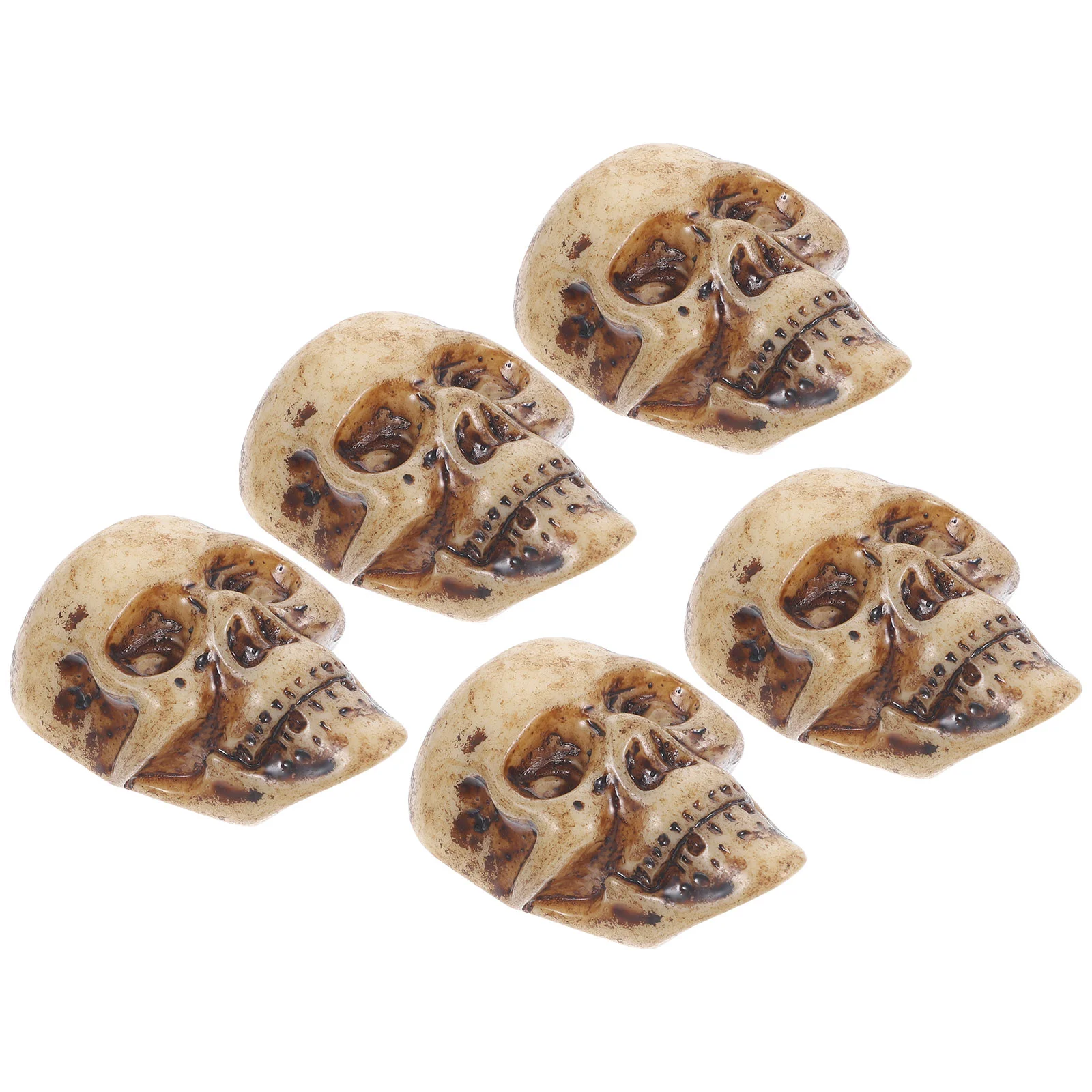 

5 Pcs Egg Skull Resin Crafts Ornaments Halloween Decorations Aquarium Flower Pot 4pcs (new No 17 Head) Mini Skulls