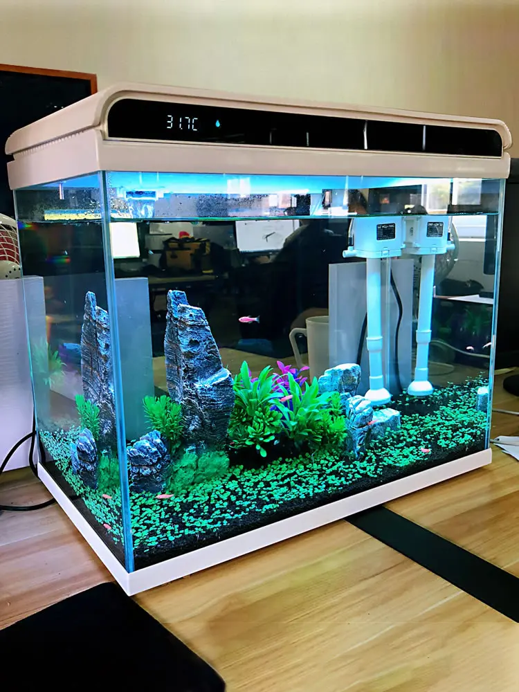Glass fish tank, small household aquarium, ecological water change free filtration, oxygen production goldfish tank
Glass fish tank, small household aquarium, ecological water change free filtration, oxygen production goldfish tank