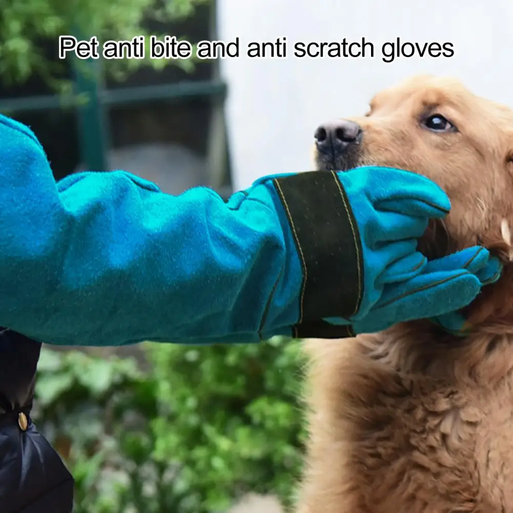 

1 Pair Bird Feeding Gloves Dog Bite-proof Glove Bite-proof Handling Gloves Long Arm Protection for Cats Dogs Birds for Grooming