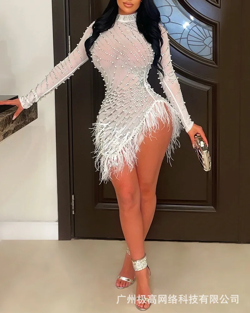 Mock Neck Rhinestone Sheer Mesh Feather Detail Party Dress Women Spring Summer Y2K Sexy Bodycon Slim Mini Dress
Mock Neck Rhinestone Sheer Mesh Feather Detail Party Dress Women Spring Summer Y2K Sexy Bodycon Slim Mini Dress
